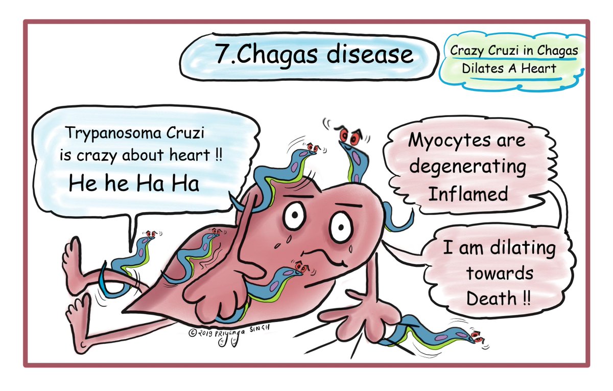 Creative-Med-Doses (@creativemeddose) on Twitter photo causes of dilated cardiomyopathy
find remaining here 👉👉creativemeddoses.com/topics-list/di…
...
....
#MedEd #FOAMed #HeartDisease
<a href="/oreoimc/">linda johnston</a> <a href="/drmaypole/">jackmaypole</a> @VijaySelvarajMD <a href="/Wilkinsonjonny/">Jonny Wilkinson</a> <a href="/renalpages/">Jyoti Baharani</a> <a href="/KoraAbhi/">Abhilash Koratala</a> <a href="/padmapathology1/">Padma Priya J</a> <a href="/physicianswkly/">Physician's Weekly</a> causes of dilated cardiomyopathy
find remaining here 👉👉creativemeddoses.com/topics-list/di…
...
....
#MedEd #FOAMed #HeartDisease
<a href="/oreoimc/">linda johnston</a> <a href="/drmaypole/">jackmaypole</a> @VijaySelvarajMD <a href="/Wilkinsonjonny/">Jonny Wilkinson</a> <a href="/renalpages/">Jyoti Baharani</a> <a href="/KoraAbhi/">Abhilash Koratala</a> <a href="/padmapathology1/">Padma Priya J</a> <a href="/physicianswkly/">Physician's Weekly</a>