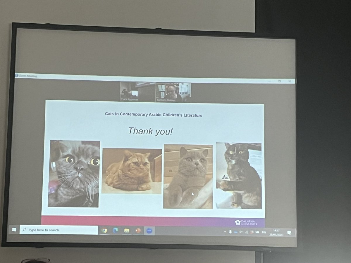 Barbara Bakker ends her talk by showing her cats #catconference