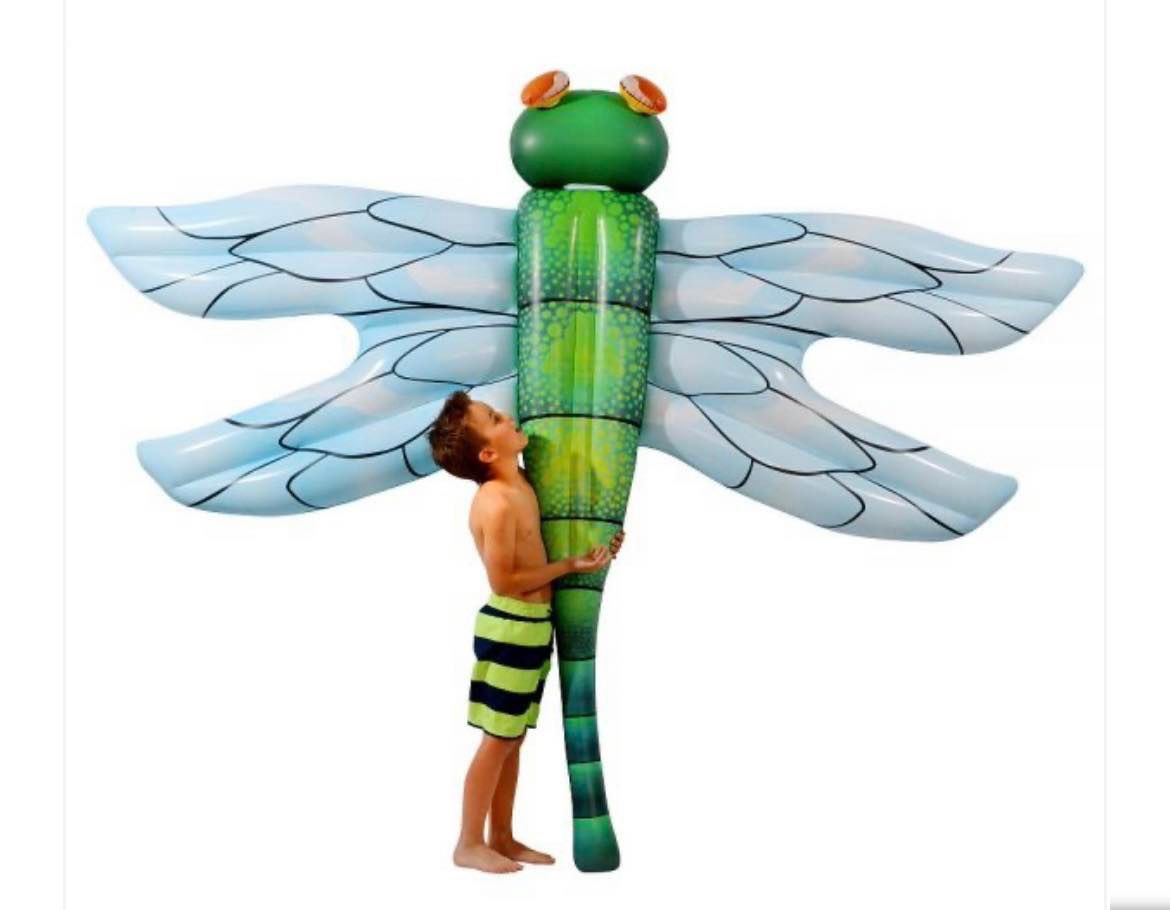 OurPoolStoreInc's tweet image. Giant Dragonfly Ride-On Pool Float

Clocking in at an incredible 8.75 feet long and with an impressive wingspan to boot, this long, slender pool toy has a striking silhouette that is sure to make for some great photographs.

#dragonfly #poolfloat #poolsupply