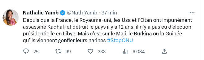 Depuis 12 ans, Nathalie Yamb n'a pas mis les pieds ni au Mali , ni en Libye, ni en Guinée, ni au Burkina. Mais vous pouvez compter sur elle pour critiquer les personnels de l'ONU qui font un travail admirable dans ces pays. #PNUD, #MINUSMA, #UNHCR, #IOM et tant d'autres...