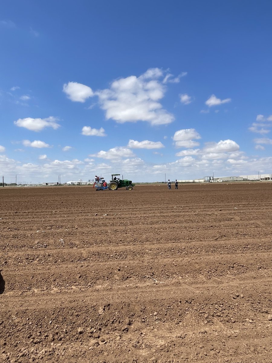 Texas cotton trial is in the ground. Working to bring cost-effective biostimulants to farmers. #biostimulants #regenerativeagriculture #cotton