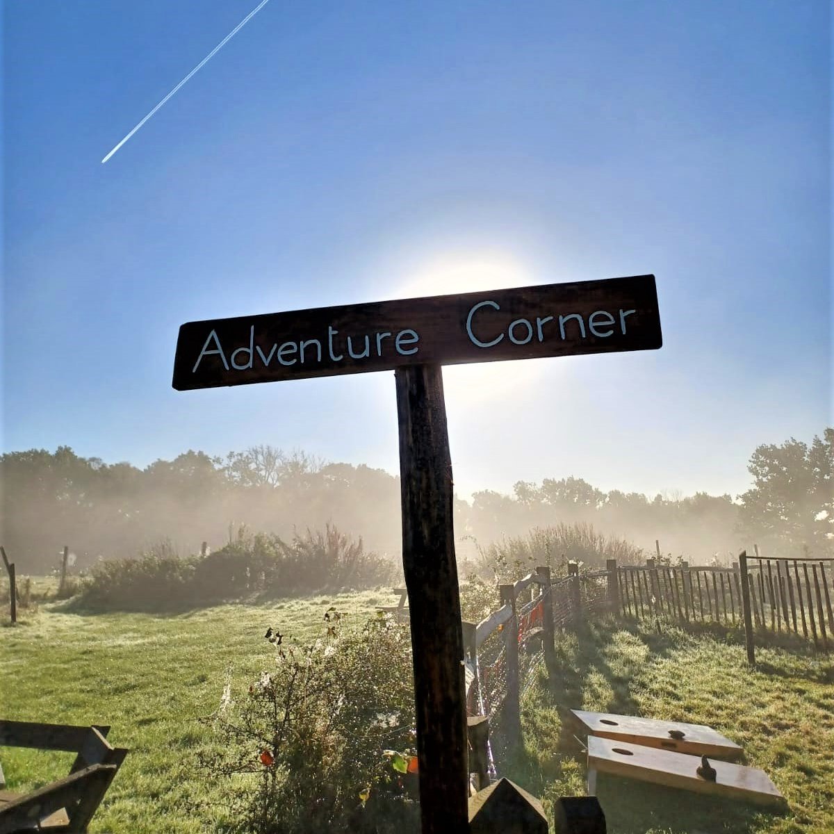 Standen NT tweet media