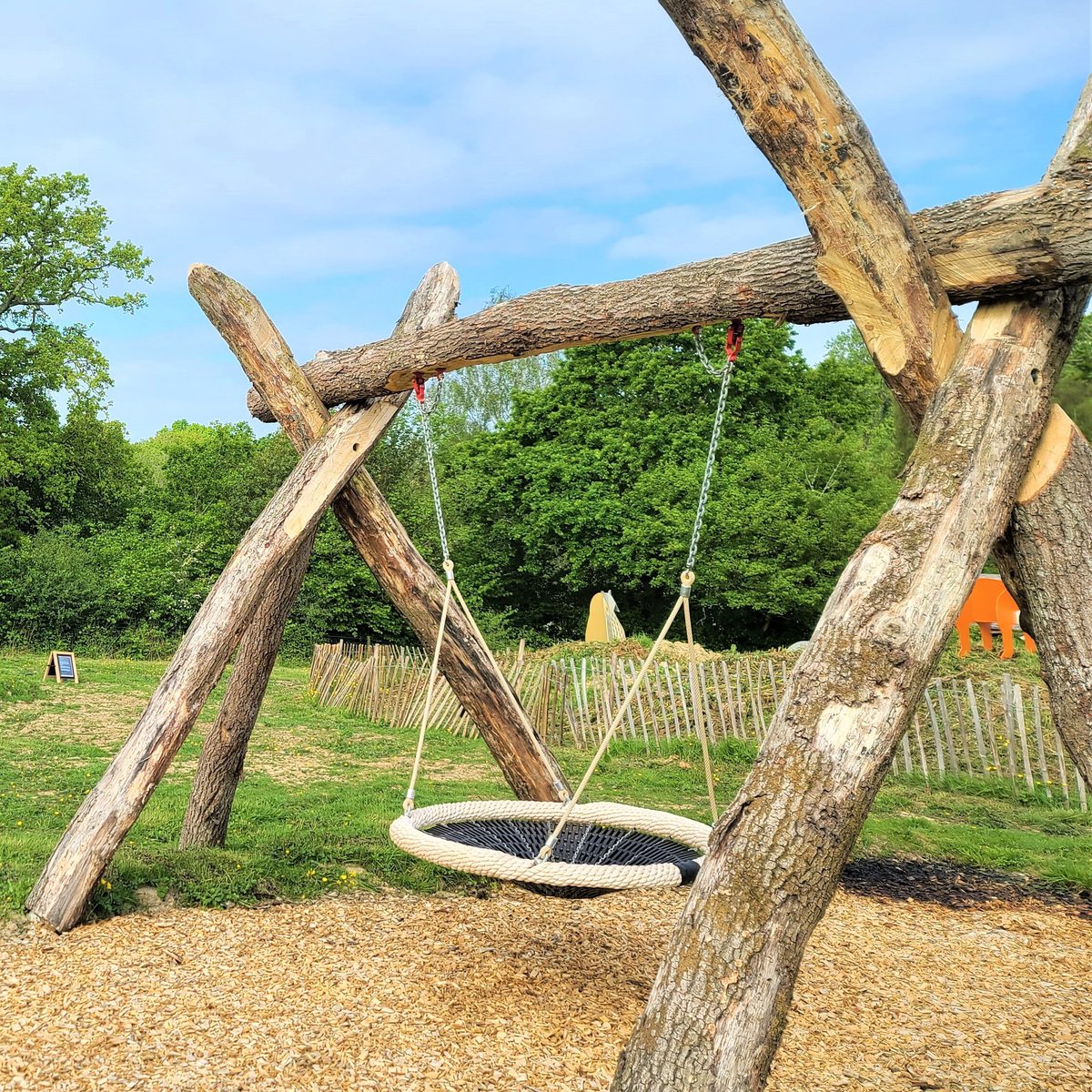 Standen NT tweet media