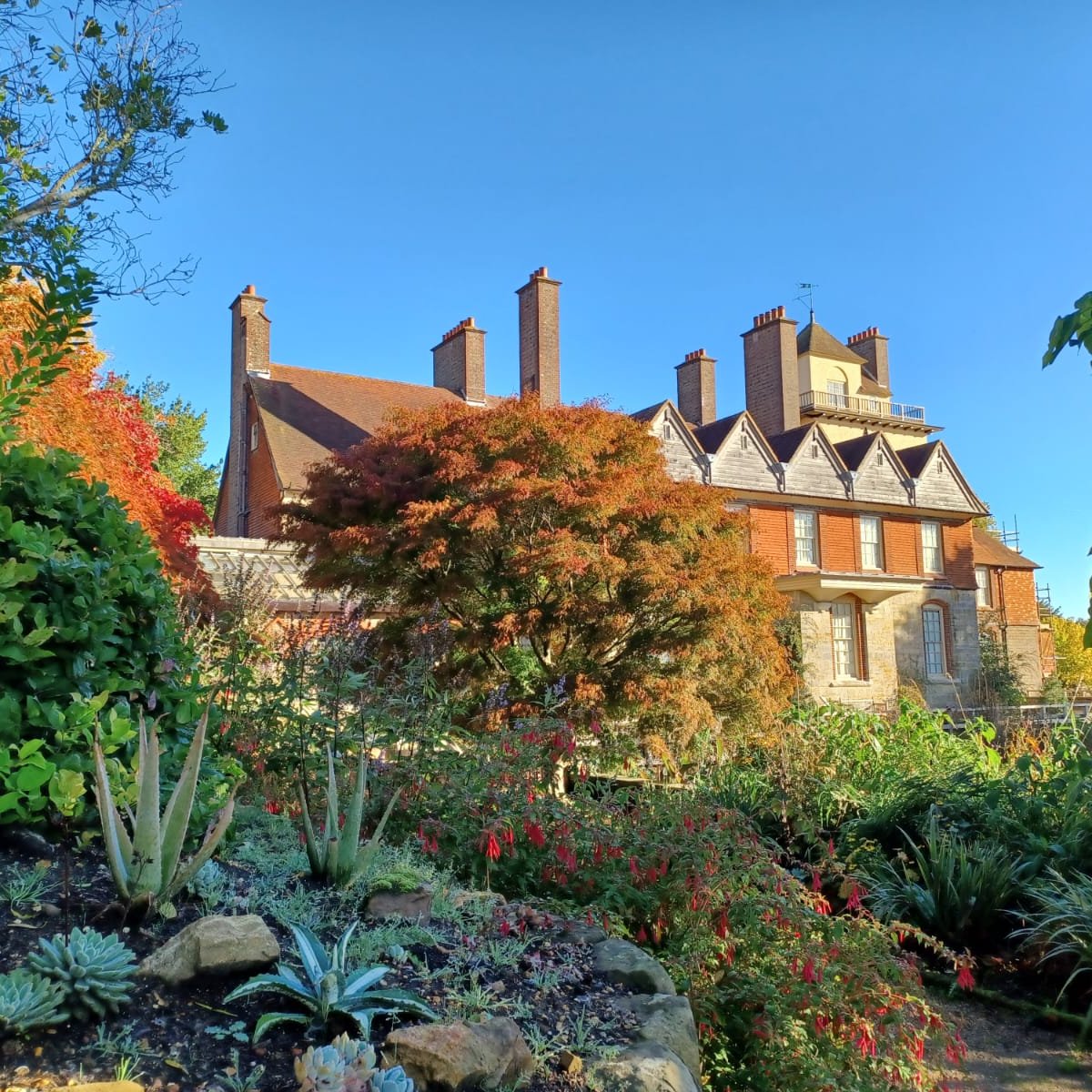 Holiday ready! 🌿🤸‍♂️🍰🌸🌷🧩💪🏾

Starting tomorrow ~ Try out our glorious new natural play area, pick up a free activity trail sheet, relax on the deckchairs and picnic blankets dotted around the gardens; and stop off for tea and cake in the Barn Café.

#picnic #daysout #halfterm
