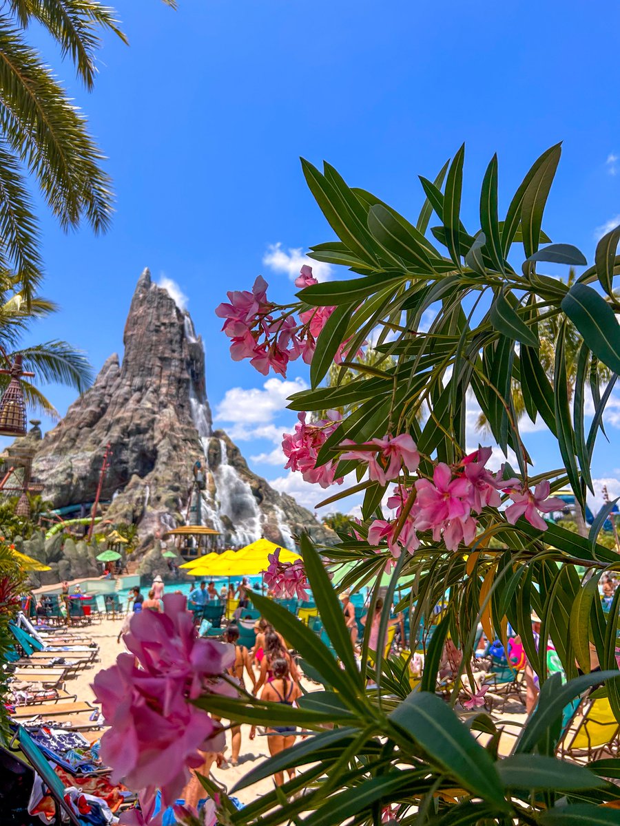 Water is life. Life is joy. 
Happy Anniversary, Volcano Bay!