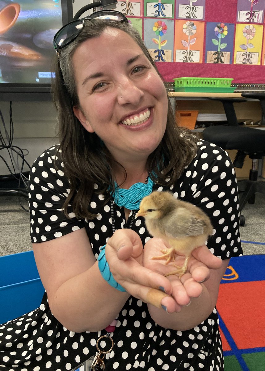 I’m learning so much about baby 🐣from @Runner58446 with our students! I’ve never had this hands-on life science lesson before. I’m loving it right alongside our students! 
@PVSDCamarillo @PVSEACougars @PVSEAPTA 
#coteaching
#InclusionRevolution