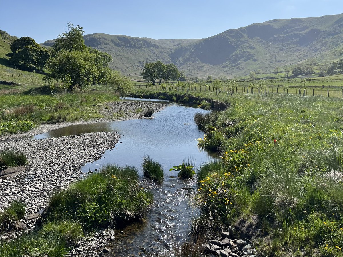lucyjanedaniels's tweet photo. I’ve been living the fieldwork dream for the past few days. Swindale Beck is such a great example of a restored river! Looking forward to seeing what the data are saying about its geomorphic unit diversity ☀️ https://t.co/Y4F6v8oRCb