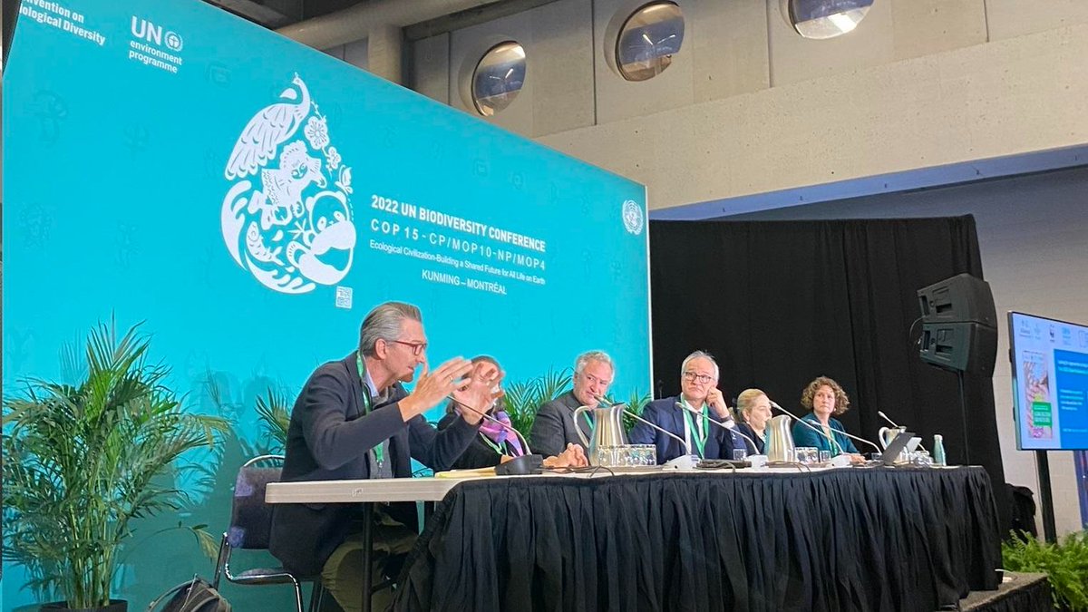 BiovIntCIAT_eng's tweet photo. 📣@CGIAR to be a member of the Informal Advisory Group on Technical and Scientific Cooperation of the @UNBiodiversity.

This is a recognition of the efforts of a scientific team that has supported the Global Framework process.
👏https://t.co/hzBj5egpbD https://t.co/0lxsDAZlNn