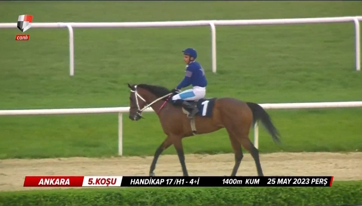 Oğlum. Sen kumcu musun lan yoksa 🤭 Bu derece ne, bu ne rahatlık. #CB