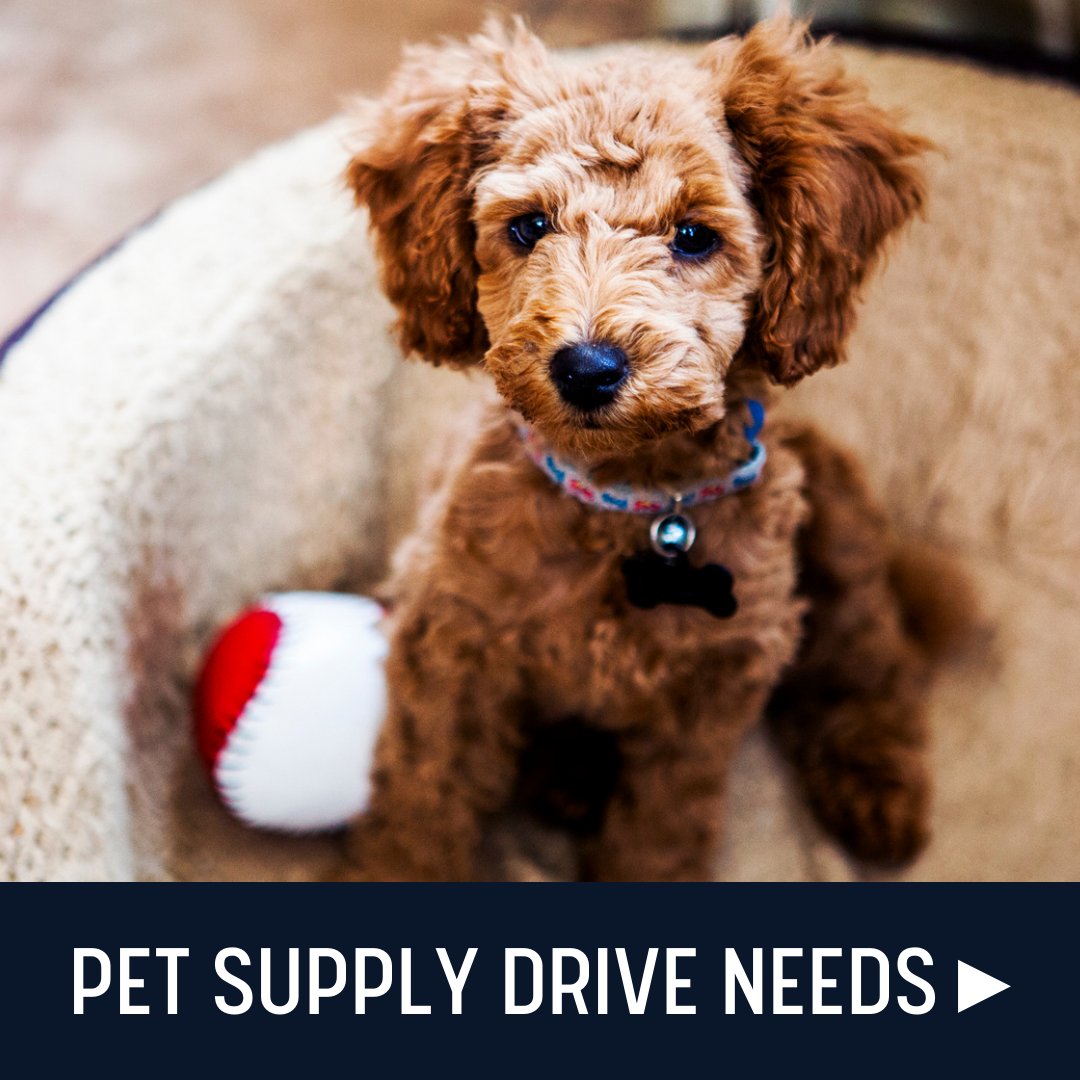 FRG__Team's tweet photo. Pets need your support and TLC! 🐾 Team FRG is happy to partner with @WiscHumane for a pet supply drive. 

➡️Wish list: https://t.co/EqheE4eAMq
➡️Shop the WHS online store: https://t.co/gNj2XshQjW
➡️Donate online at https://t.co/2BDv6ANVwJ

#petsupplies #pets #milwaukee https://t.co/BMAgiH5A0b