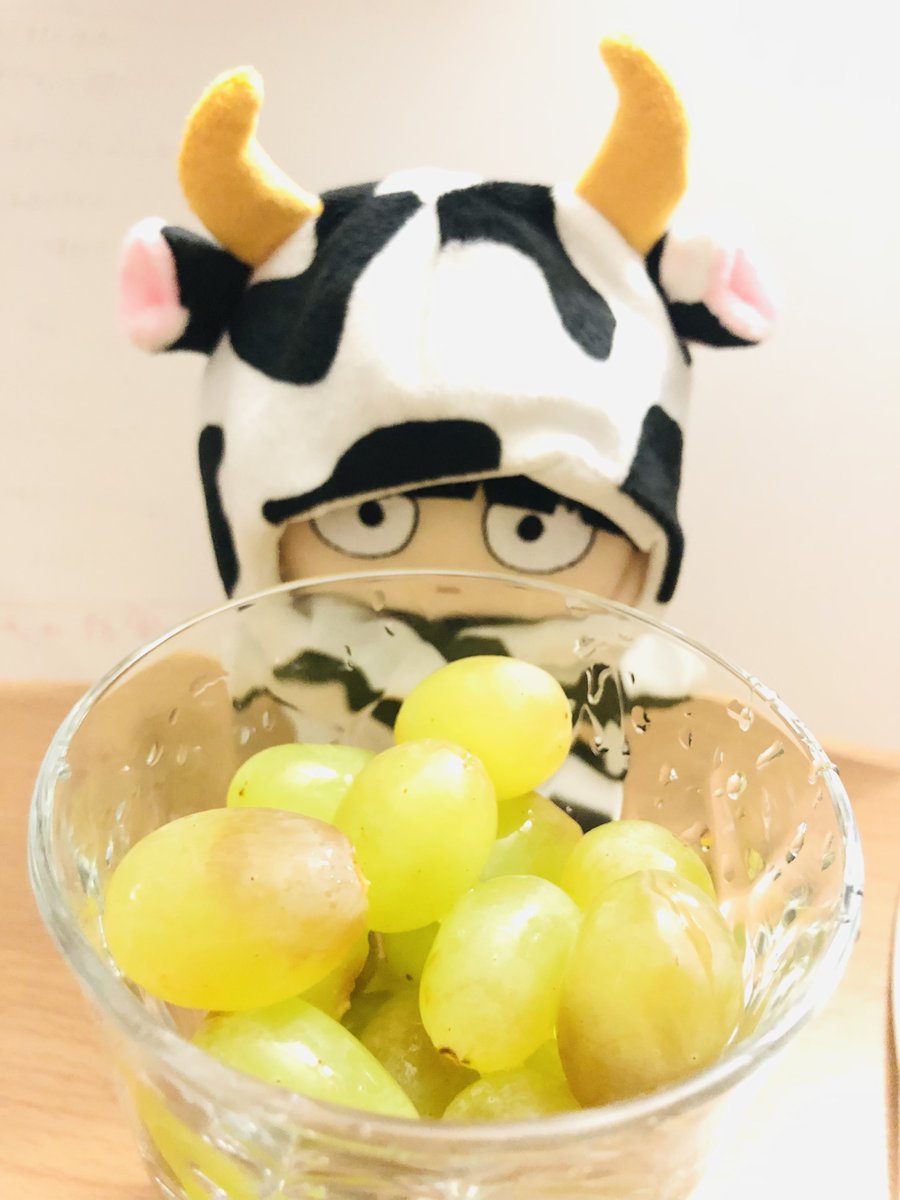 38.
ﾌﾞﾄﾞ🍇🐄