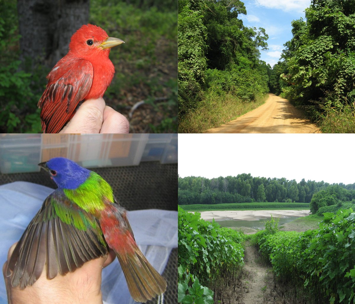 Andrea Contina tweet media