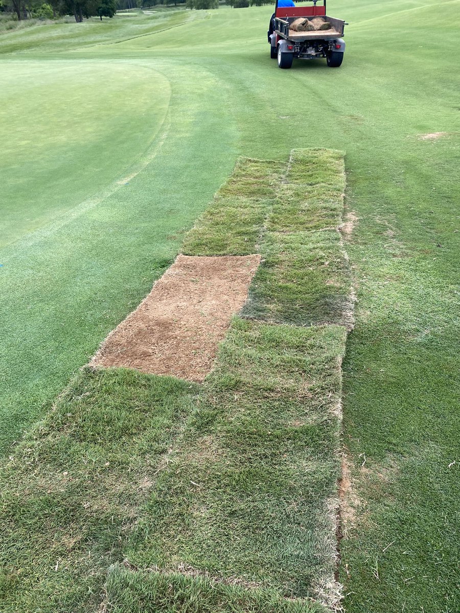 Green side up. Unless, it’s a sprinkler head.