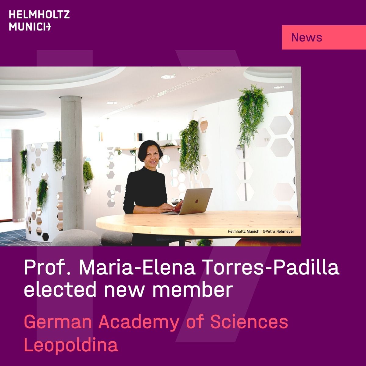 𝗣𝗿𝗼𝗳. 𝗠𝗮𝗿𝗶𝗮-𝗘𝗹𝗲𝗻𝗮 𝗧𝗼𝗿𝗿𝗲𝘀-𝗣𝗮𝗱𝗶𝗹𝗹𝗮, Director of the Stem Cell Center, the Institute for Epigenetics and Stem Cells and Director of Biomedicine <a href="/PioneerCampus/">PioneerCampus @HelmholtzMunich</a>
at #HelmholtzMunich is now new member <a href="/Leopoldina/">Nationale Akademie der Wissenschaften Leopoldina</a>.
👇More news👇
🔗t1p.de/tv107