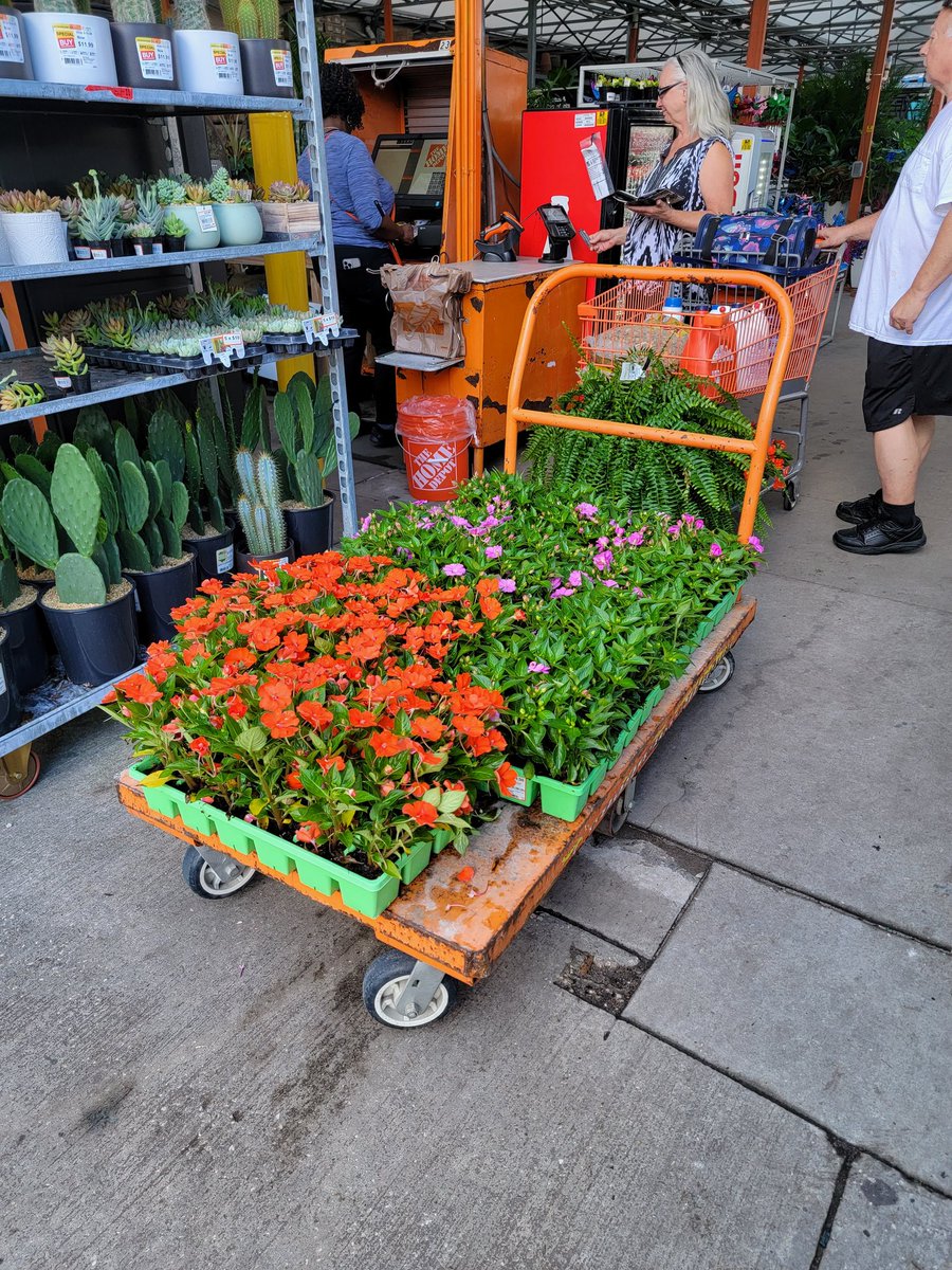 HD260 W.Melbourne 
Great sale= $  customer was asking about #Sunpatiens so we showed him the 18pk for Mass Planting. #Happycustomer #RepeatCustomer. @wachitgrow @bjryan3 @PureBeautyMag