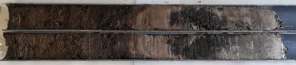 Preseli Pollen Project tweet media