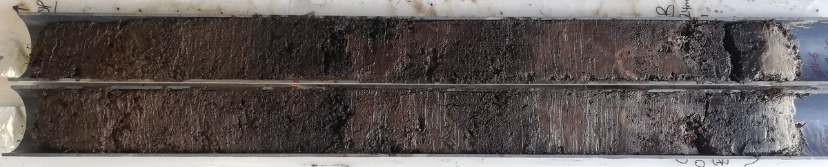 Preseli Pollen Project tweet media