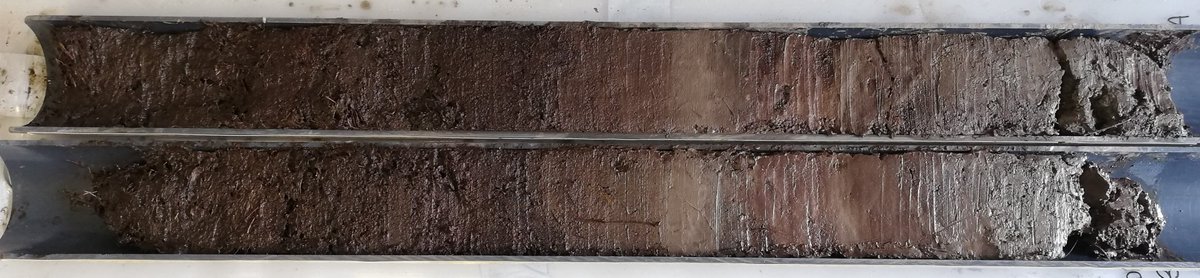 Preseli Pollen Project tweet media