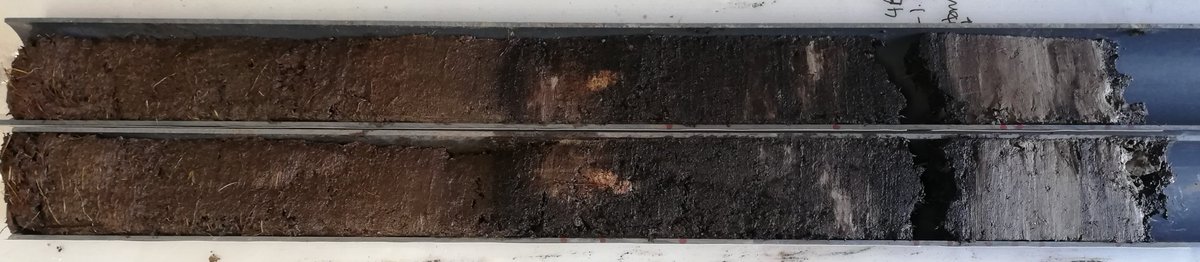 Preseli Pollen Project tweet media