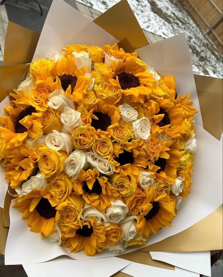 sunflowerchives's tweet photo. pure💛🤍 https://t.co/QZ7BYZ1T0i