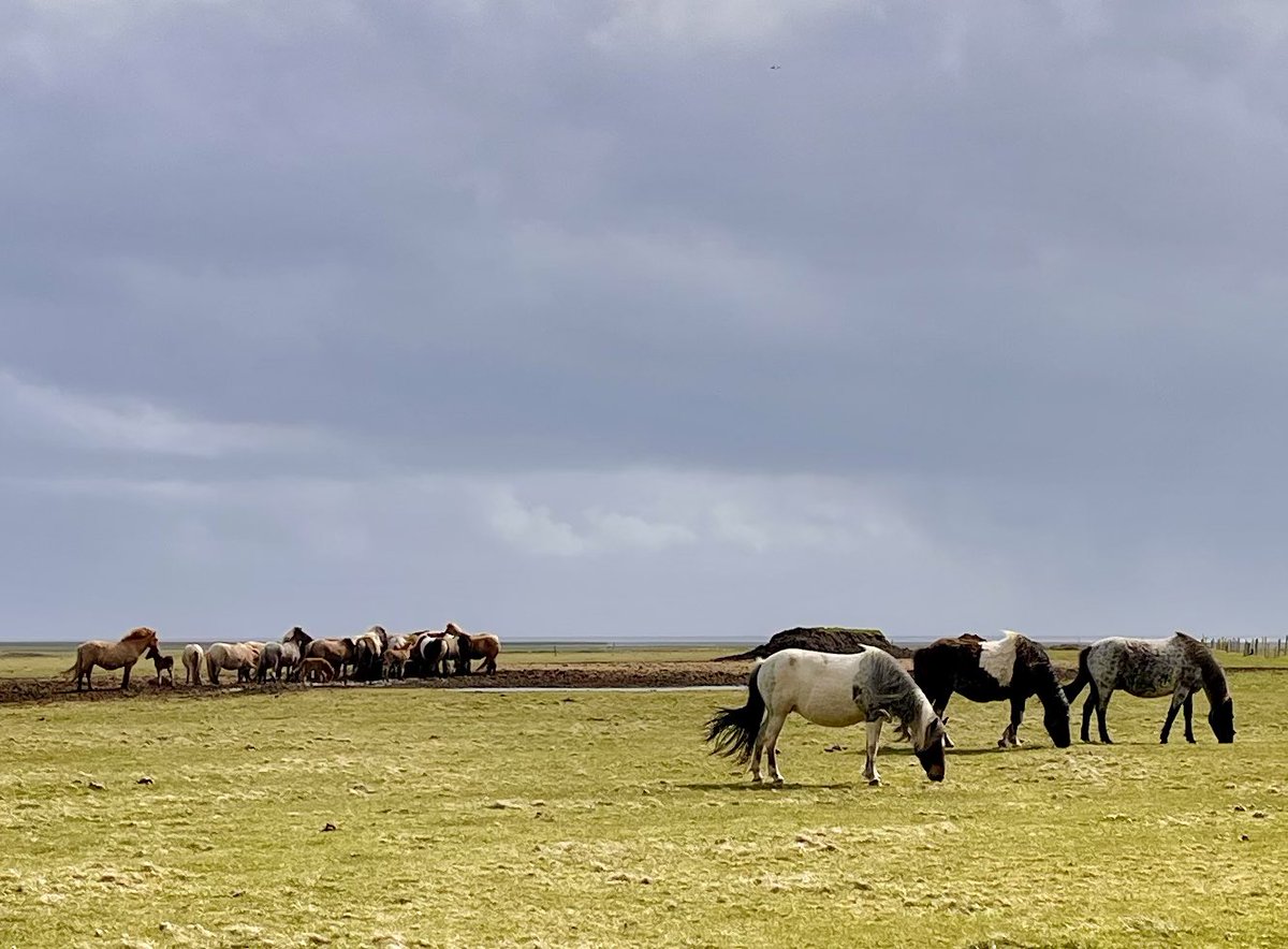 kellyKRCcarter's tweet photo. #goplacesdostuff #iceland https://t.co/lp0DjzFTG3