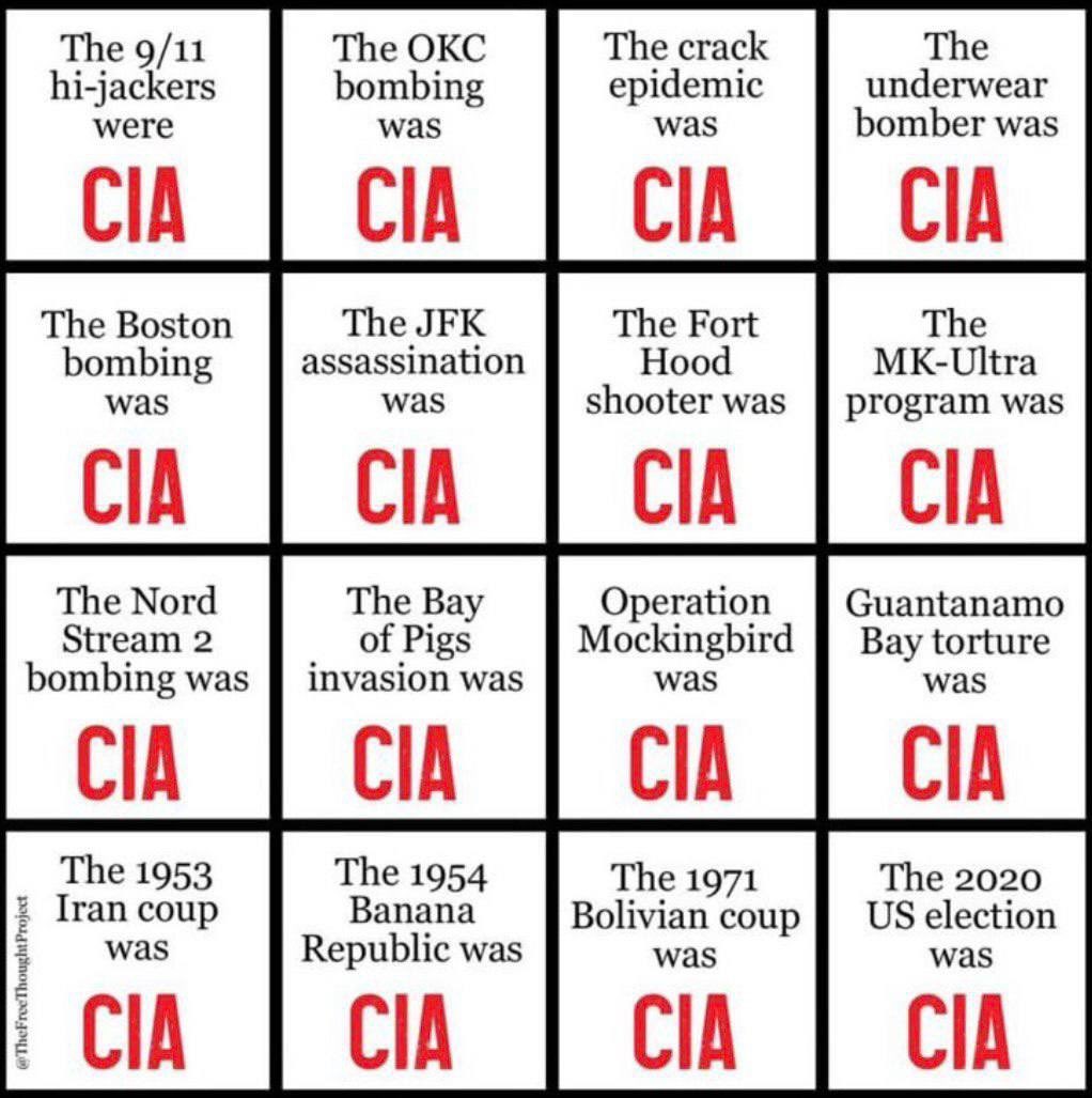 The CIA is the globalist’s criminal executive agency