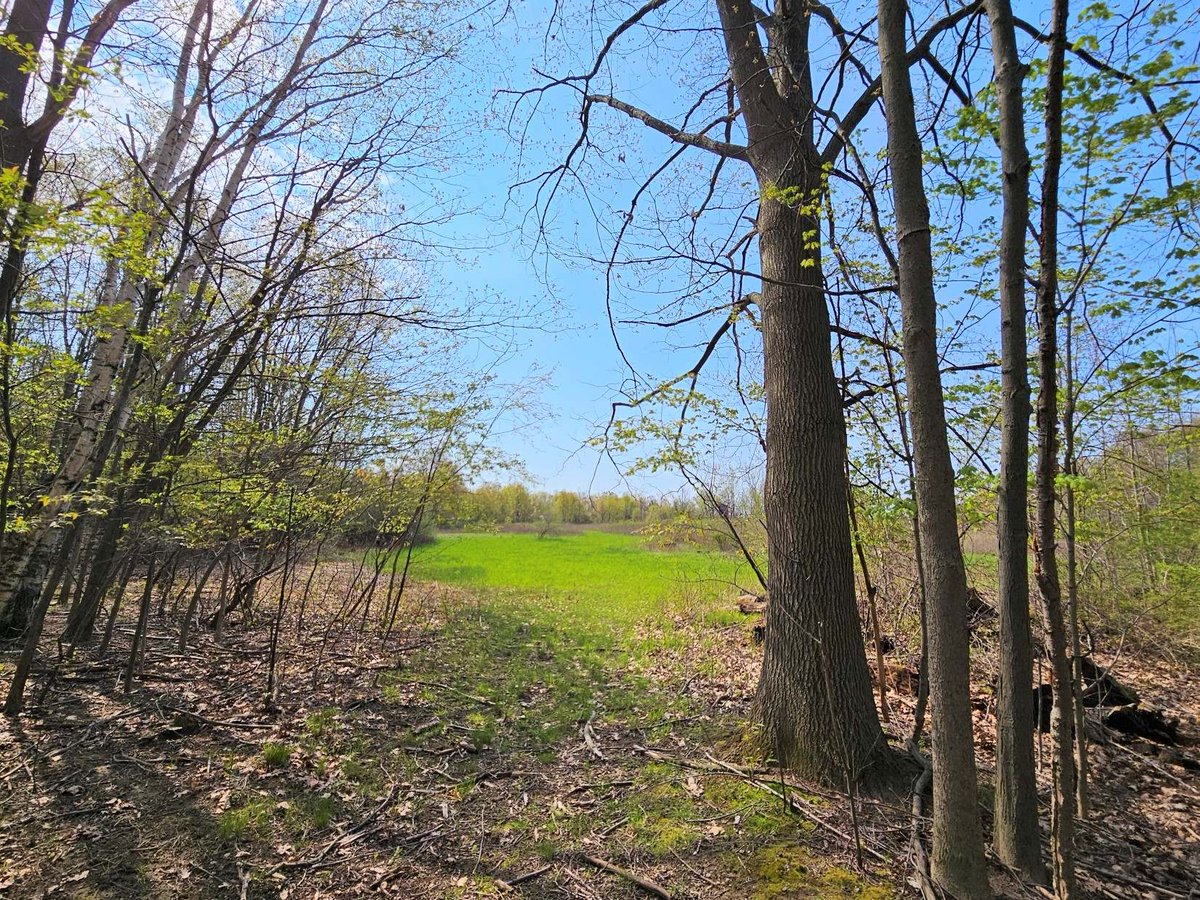 blueVortexnet's tweet photo. Spring has sprung on this 151-acres in Genesee County.  Learn more on Hunting4Land's world online...  https://t.co/L35zE8HAuO https://t.co/jft7dIBeCT