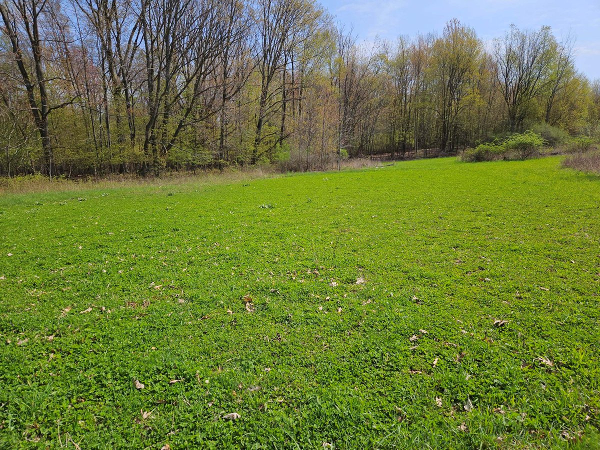 blueVortexnet's tweet photo. Spring has sprung on this 151-acres in Genesee County.  Learn more on Hunting4Land's world online...  https://t.co/L35zE8HAuO https://t.co/jft7dIBeCT