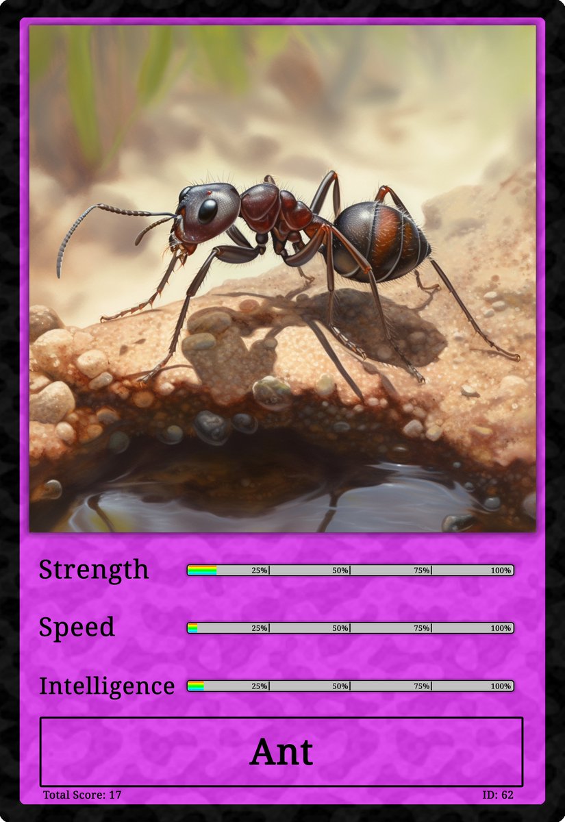 Animal Kingdom Cards tweet media