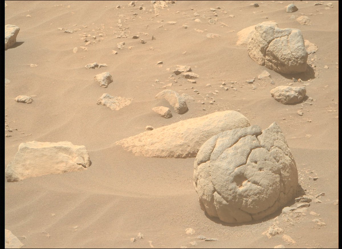DaisyDobrijevic's tweet image. I spy a ghost.... can you? 
NASA&apos;s Perseverance Rover captured this image on May 22 while exploring Mars&apos; incredible environment. Awesome stuff! 
📸NASA/JPL-Caltech/ASU
#mars #exploringmars