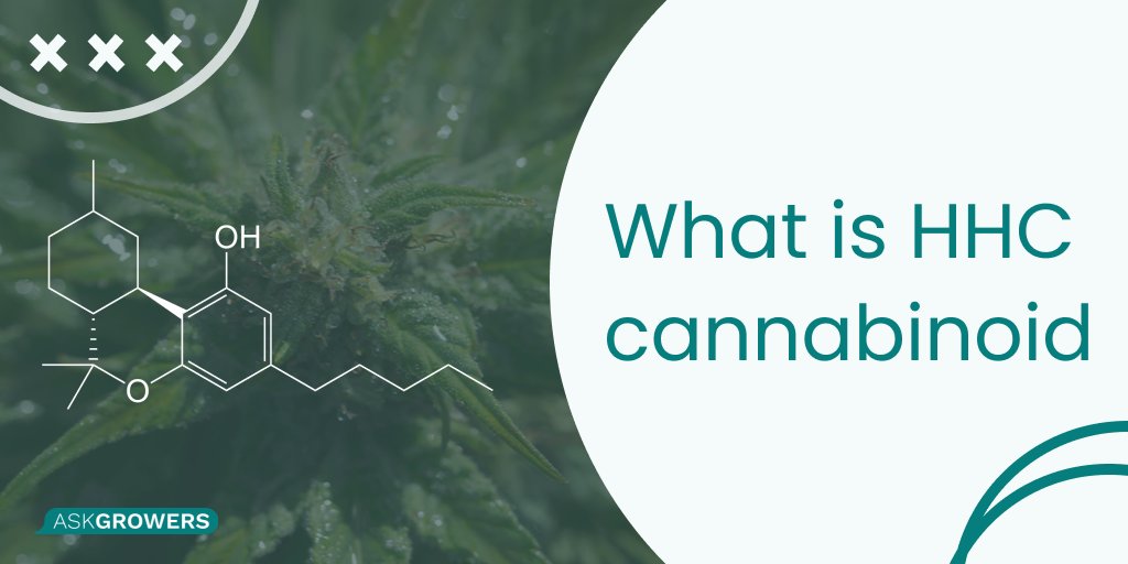 askgrowers tweet media