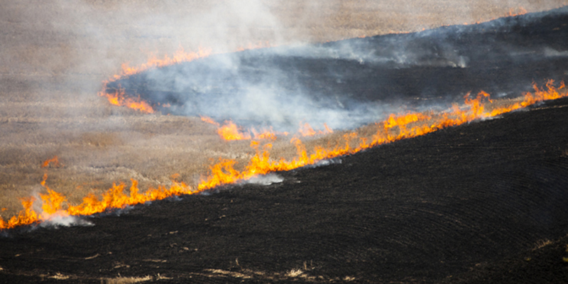 Is your community ready to withstand a wildfire?  Learn how efforts by the Firewise USA site Falls Creek made a difference during the 416 Wildfire. nfpa.social/XzCA50OjwVe #WildfireAwarenessMonth #FirewiseUSA #mitigationmatters