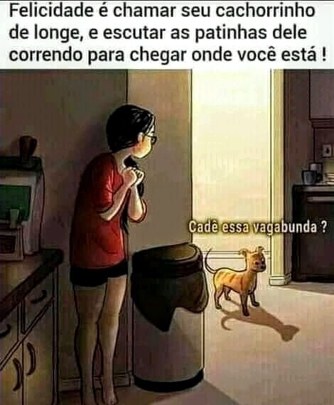 shitpostverdade's tweet photo. https://t.co/ZvkEYS9LcW