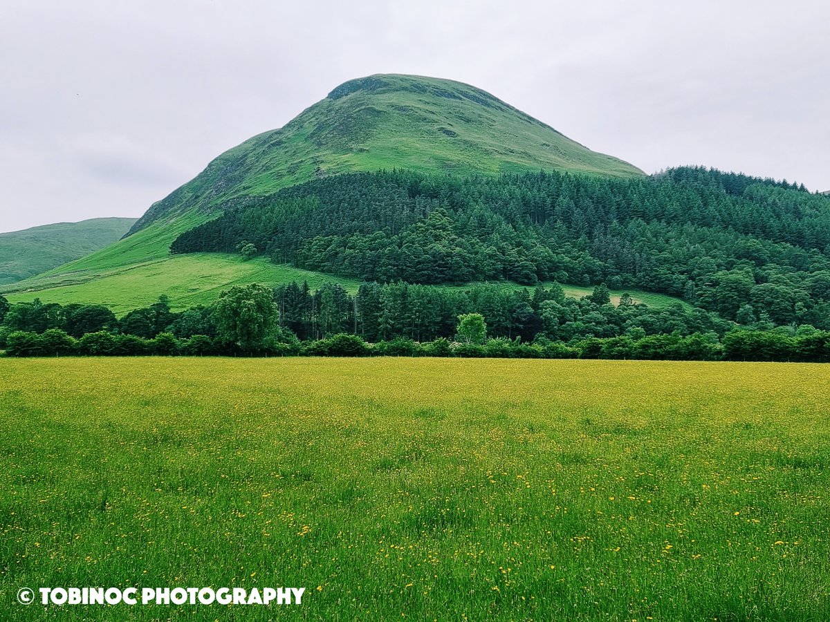 Wandering in the Lakes! 😍📸

#lakedistrict #lakes #cumbria #walking #outdoors