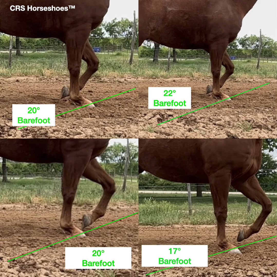 R Henson tweet media