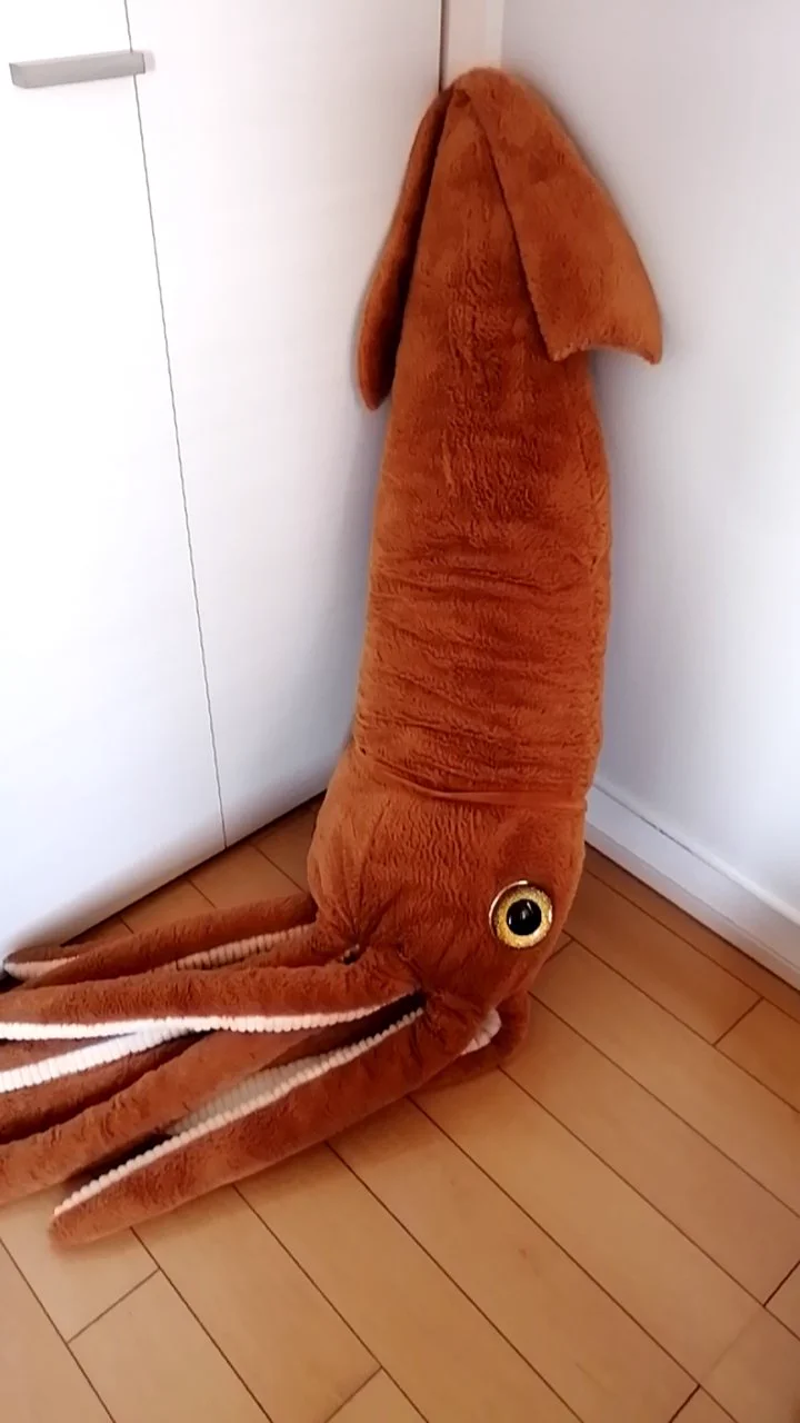 @japan_ika_union 家にはアピタ産2m級のがいます。 