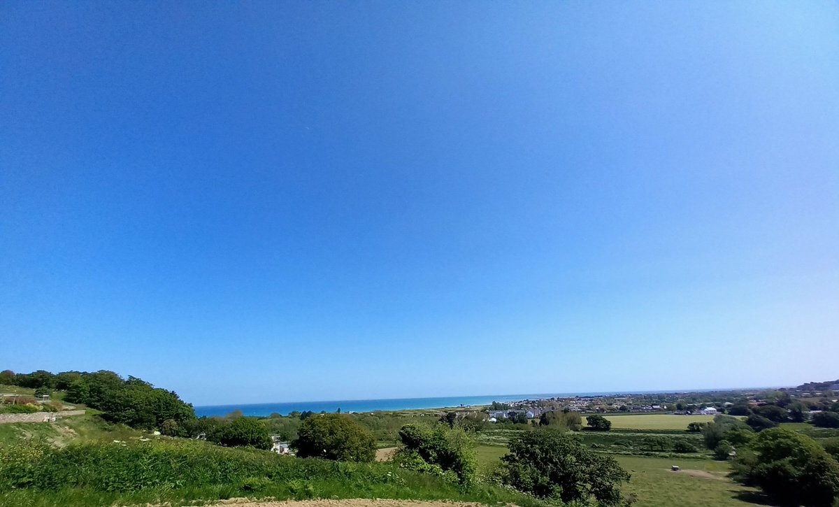 Factor 50 day in the office today! Sssh out east for a change. @TheOnlyGuru @VisitJerseyCI @suedelacour @MiloShropshire @ShireenJordan @doodlemoodle @HappyHooker1157 @AdamHenson #happydogs #wearsunscreen #dogsoftwitter #greatoutdoors #Jersey