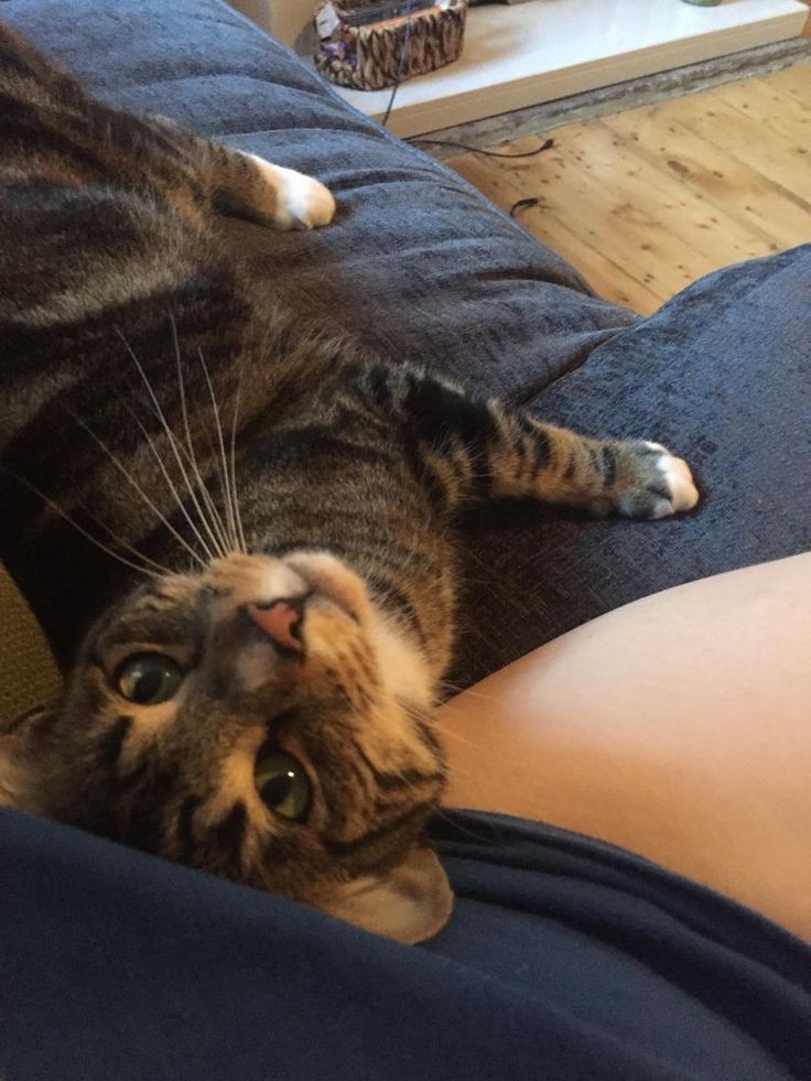 equallize's tweet image. 