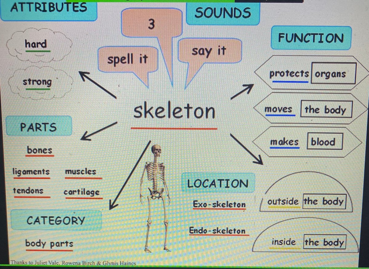 Remember to always show children how to use words in sentences as well as their meaning when teaching vocabulary: