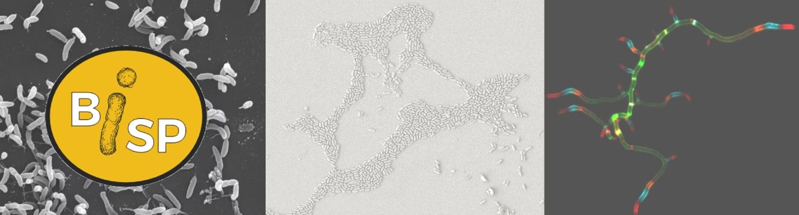 CRIPA (@centrecrip) on Twitter photo Découvrez des recherches et résultats partagés par des microbiologistes au congrès BiSP 2023. Soyez des nôtres les 14 et 15 septembre prochain à <a href="/UMontreal/">Université de Montréal</a>, au Pavillon Roger Gaudry! Prix du CRIPA à gagner pour les meilleurs présentations étudiantes!
event.fourwaves.com/fr/bisp2023/pa… Découvrez des recherches et résultats partagés par des microbiologistes au congrès BiSP 2023. Soyez des nôtres les 14 et 15 septembre prochain à <a href="/UMontreal/">Université de Montréal</a>, au Pavillon Roger Gaudry! Prix du CRIPA à gagner pour les meilleurs présentations étudiantes!
event.fourwaves.com/fr/bisp2023/pa…