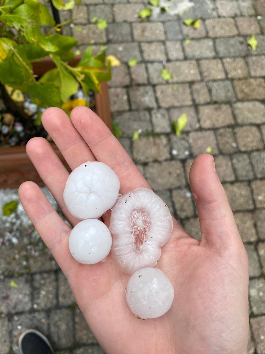 All’Impruneta… chicchi abnormi