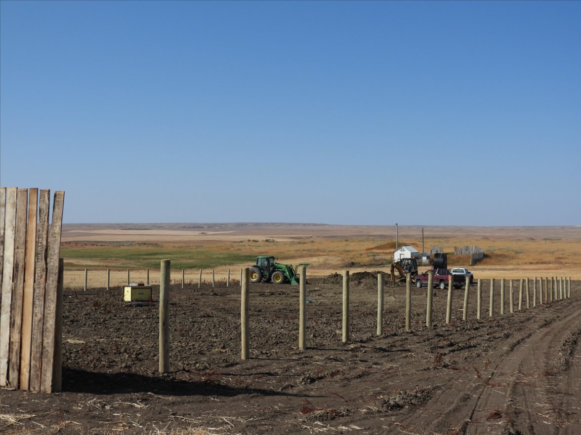 Sask Agriculture tweet media