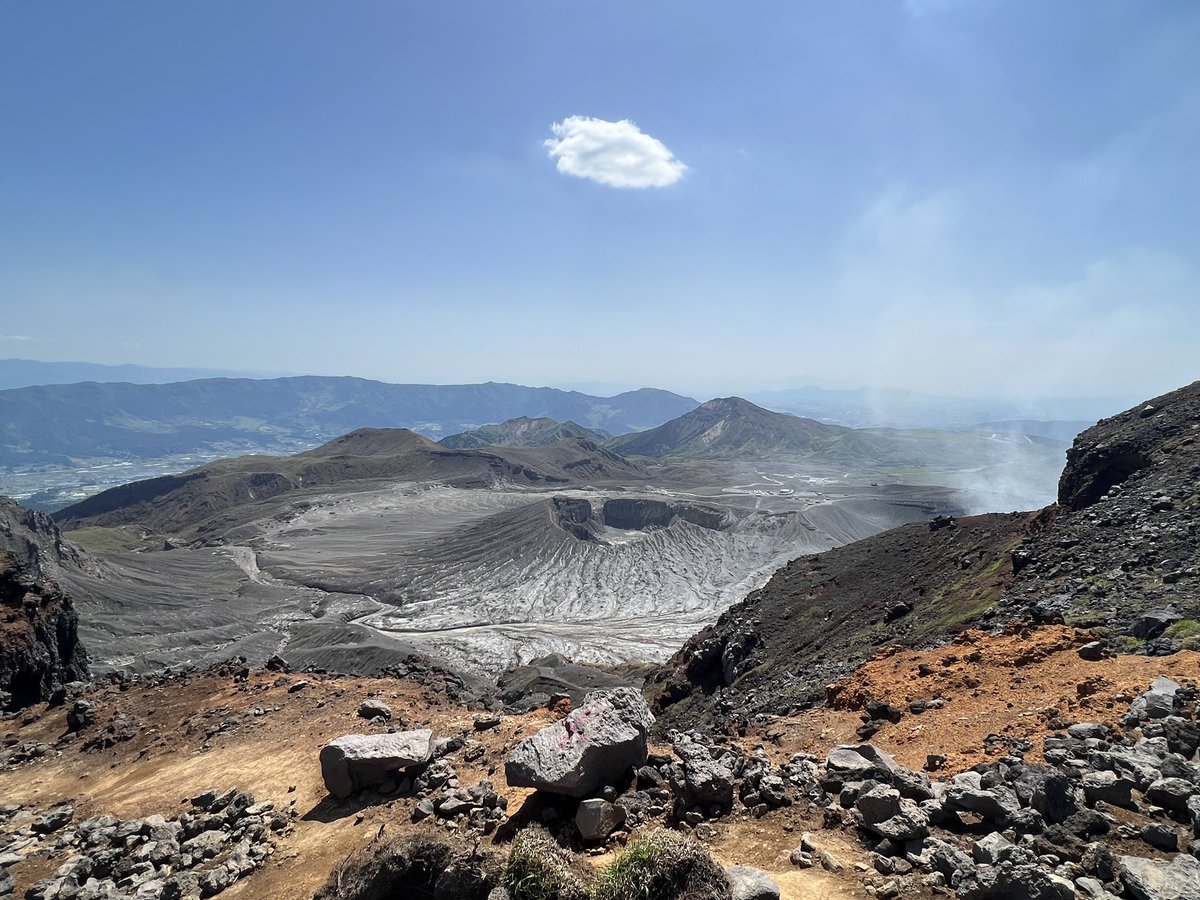 Mr Bingo 𓄚 tweet media