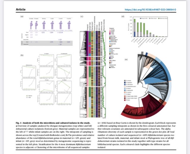 pauldcotter's tweet photo. Fantastic new publication from the #MicrobeMom team ‘Detailed mapping of Bifidobacterium strain transmission from mother to infant via a dual culture-based and metagenomic approach’. @sligomicrobe @ianjoneill @calumari_walsh @ProfFMcAuliffe @VanSinderenLab @AHealthIrl & many more https://t.co/5UTDTY63lL
