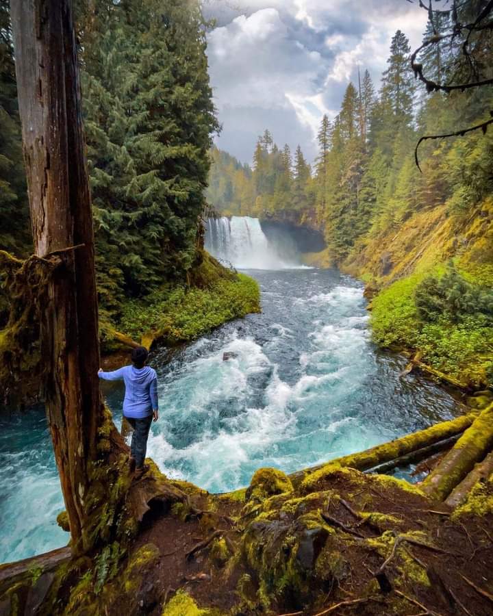 Koosah Falls In Oregon, USA... Photo by lolowandering...