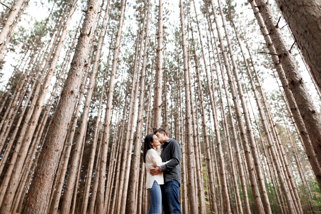 DClementsPhoto tweet picture