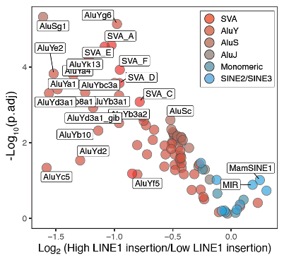 We found immunogenic SINE expression in PDAC was anti-correlated with either LINE-1 or ADAR1 activity in a p53 dependent manner. Here is a plot for LINE-1, which was more relevant for mutant p53: