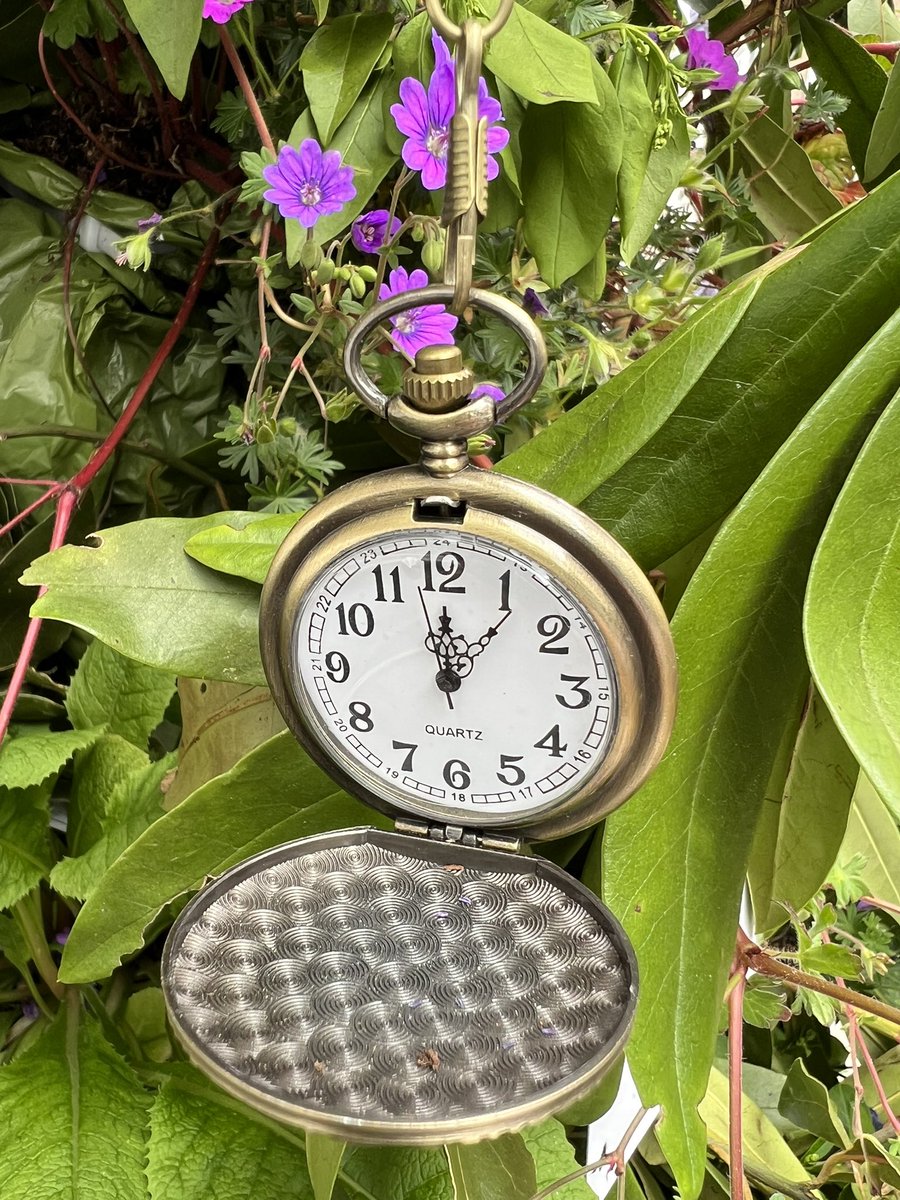 selectdecorator's tweet image. #coleandson. Cole and son wallpaper HQ nailed the Chelsea in Bloom with Alice in Wonderland, even real working pocket watches. #brilliant