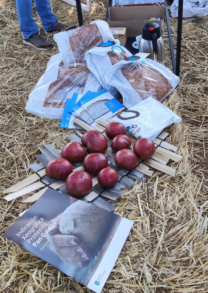 fdehistoria's tweet photo. Hoxe estivemos na Pobra do Brollón presentando o noso libro sobre a historia da oliveira e o aceite en Galicia, da man da AGACAL e da Consellería de Medio Rural.
Foi nun encontro con produtores, nun lugar fermoso no que falamos de oliveiras e de produtos galegos de calidade.😍😍 https://t.co/UrpseatnPQ
