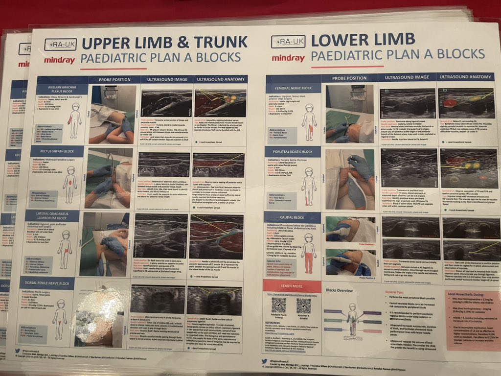 Annabel Pearson tweet media